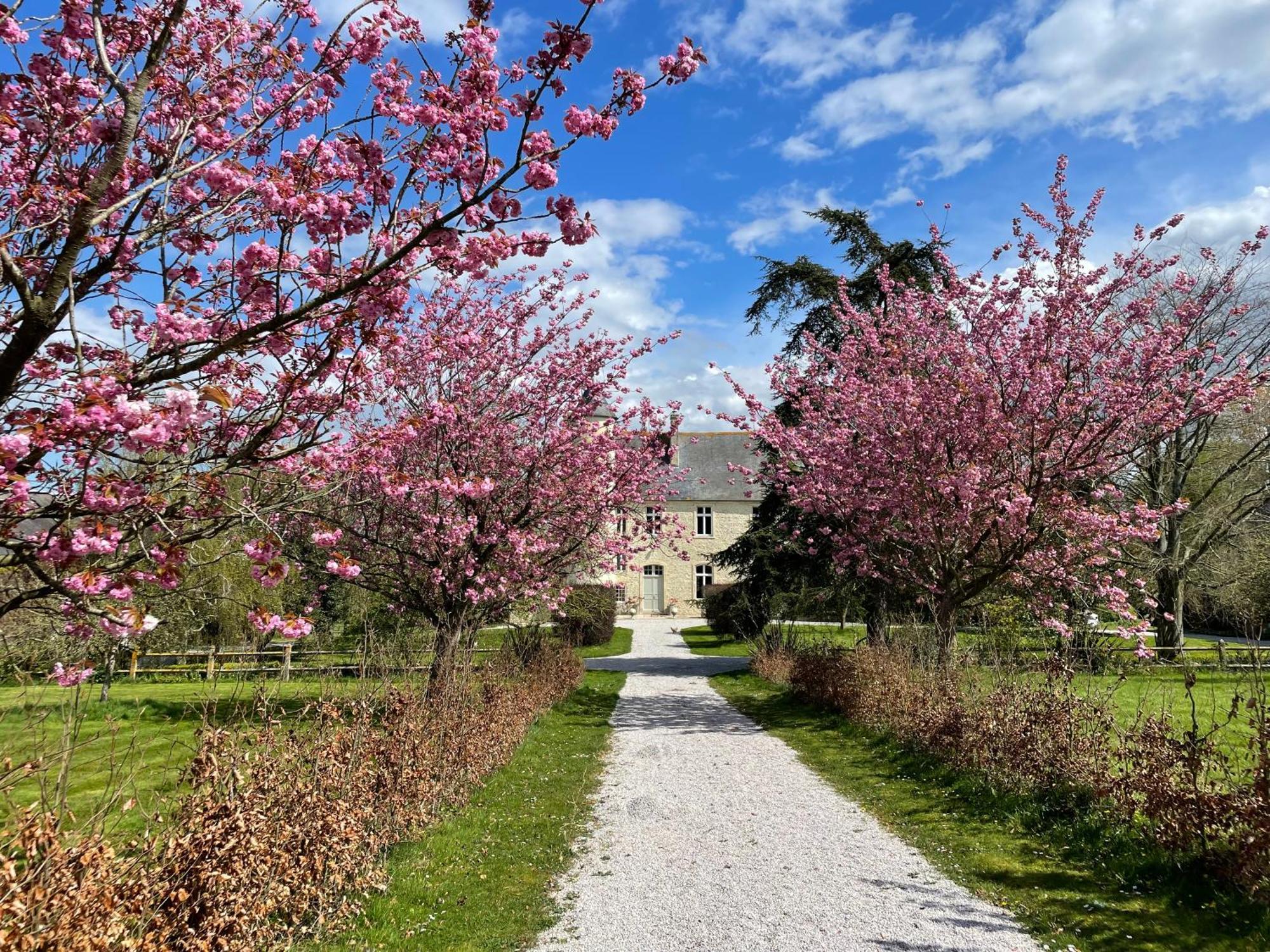 Chateau De Monfréville Exteriör bild