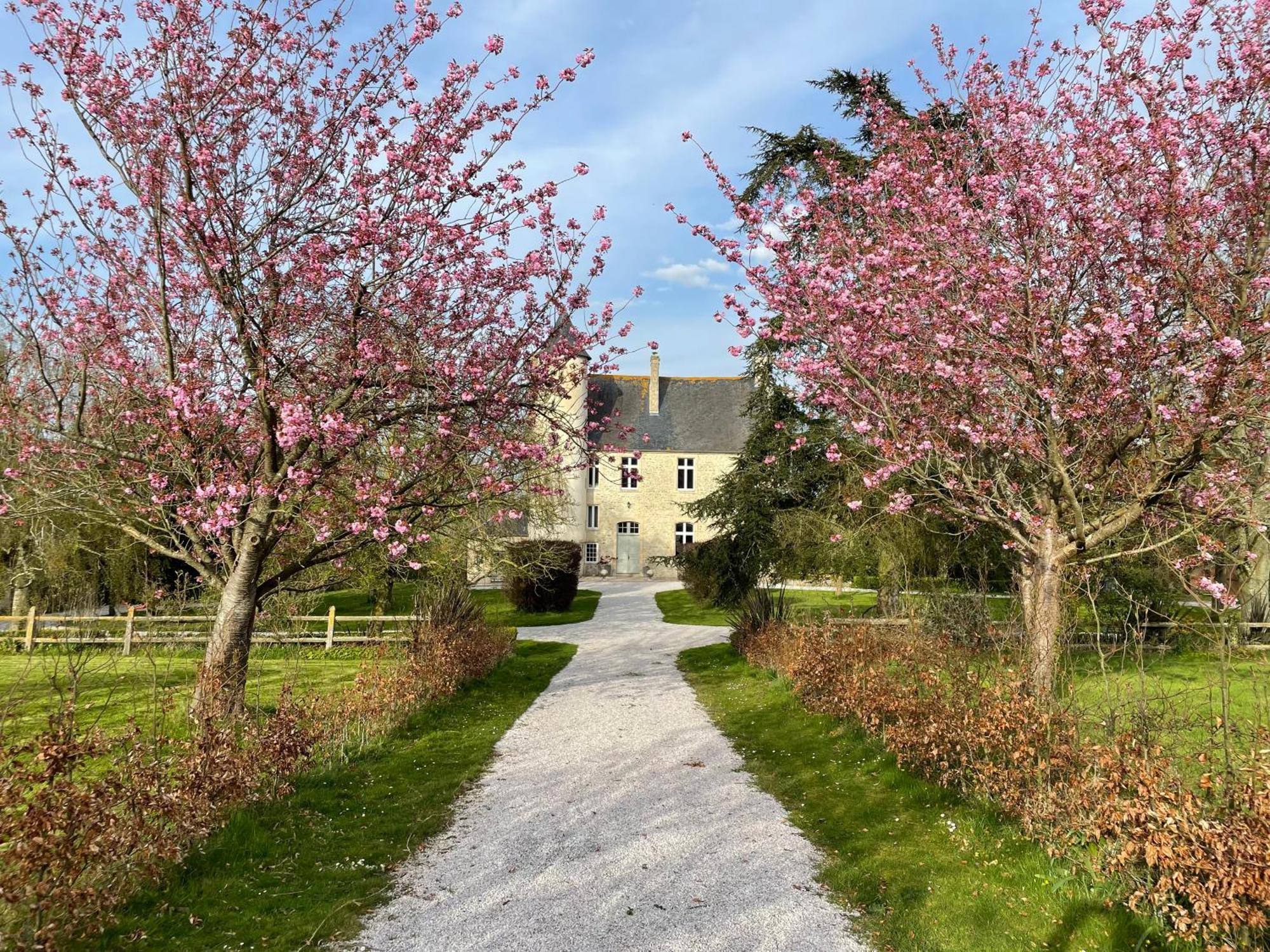 Chateau De Monfréville Exteriör bild